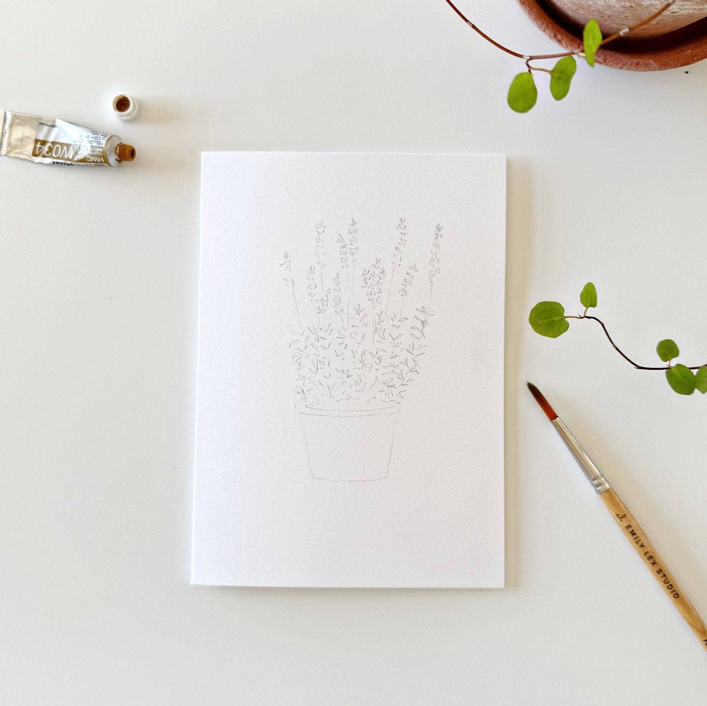 GB Potted Plants Paintable Notecards