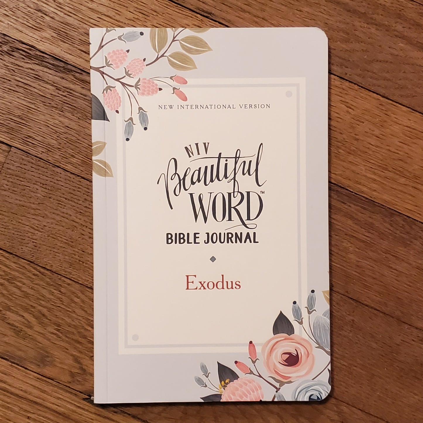 GB NIV Beautiful Word Bible Journal (Exodus)