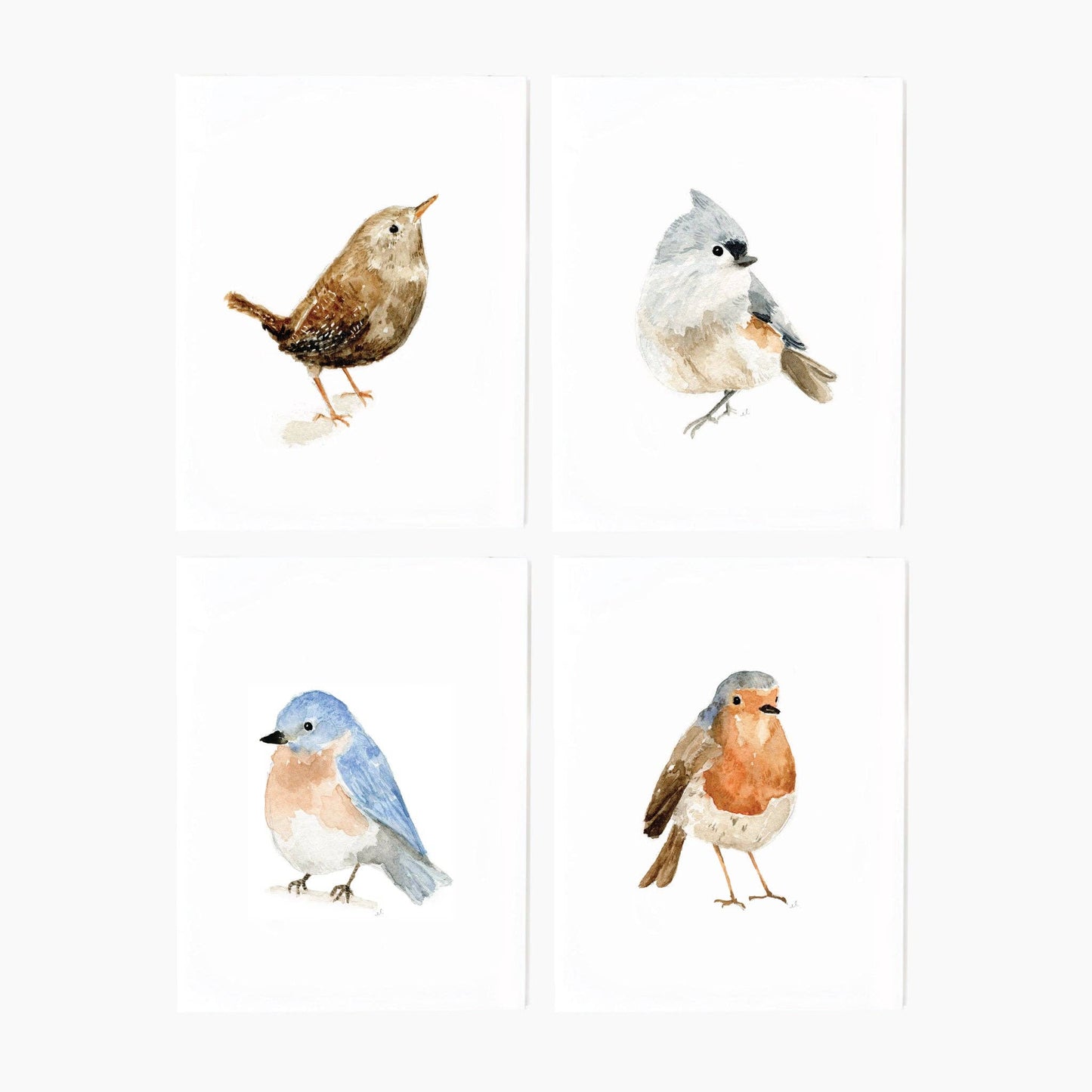 GB Birds Assorted Notecard Set