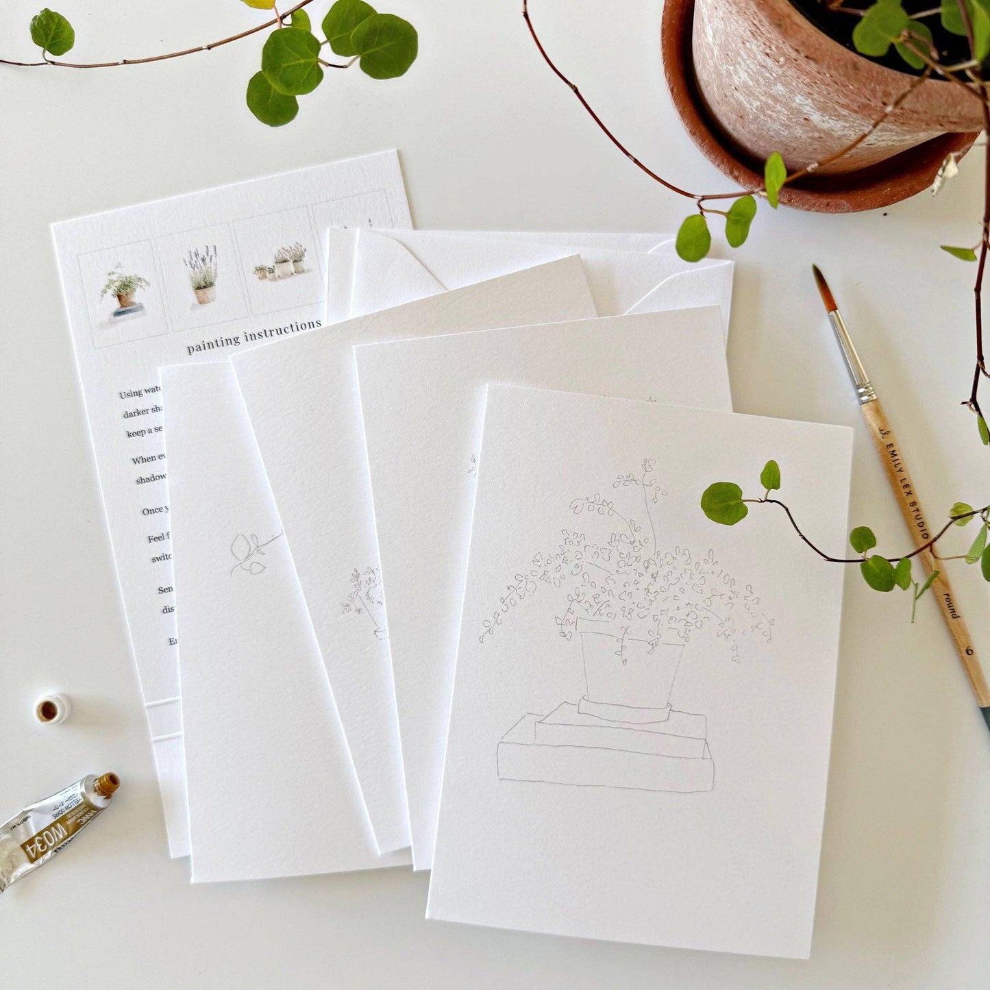 GB Potted Plants Paintable Notecards