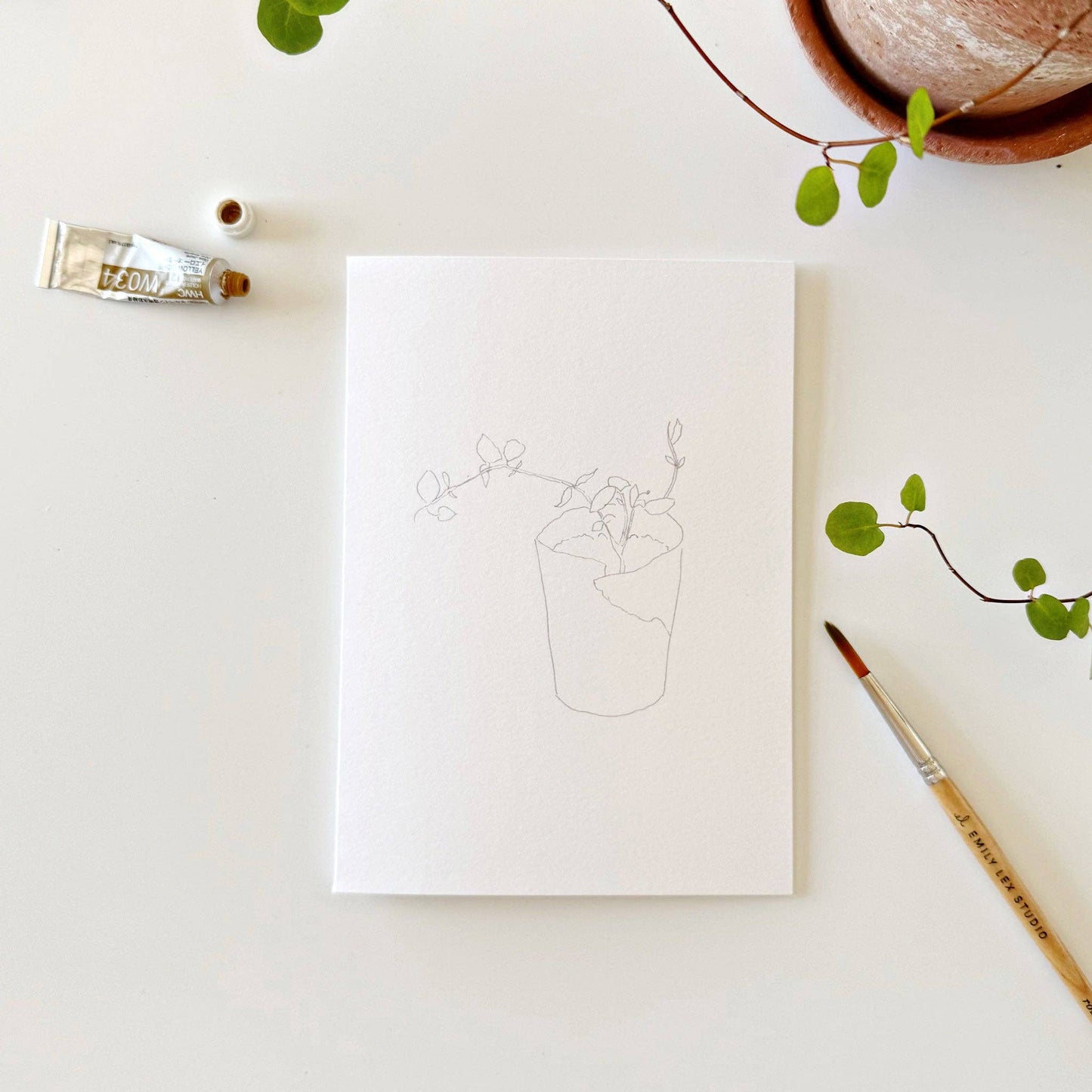 GB Potted Plants Paintable Notecards