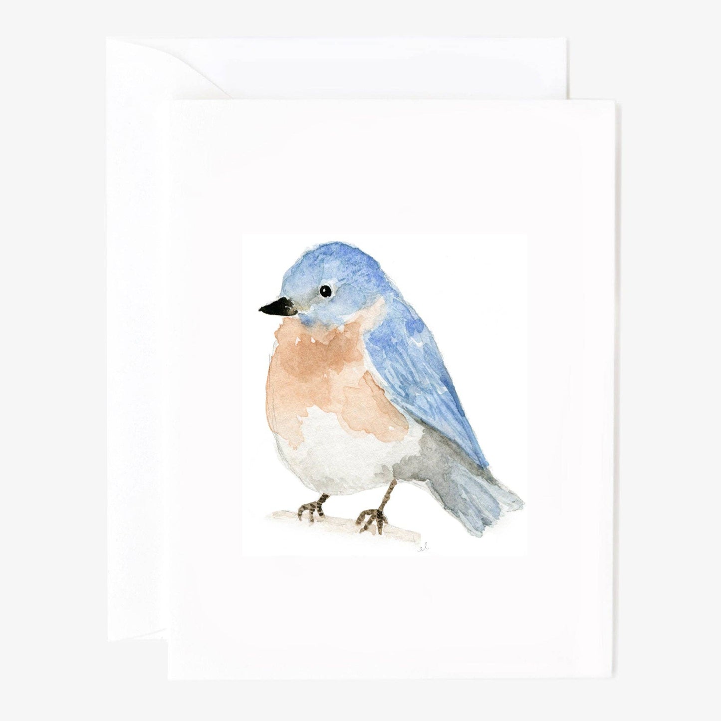 GB Birds Assorted Notecard Set
