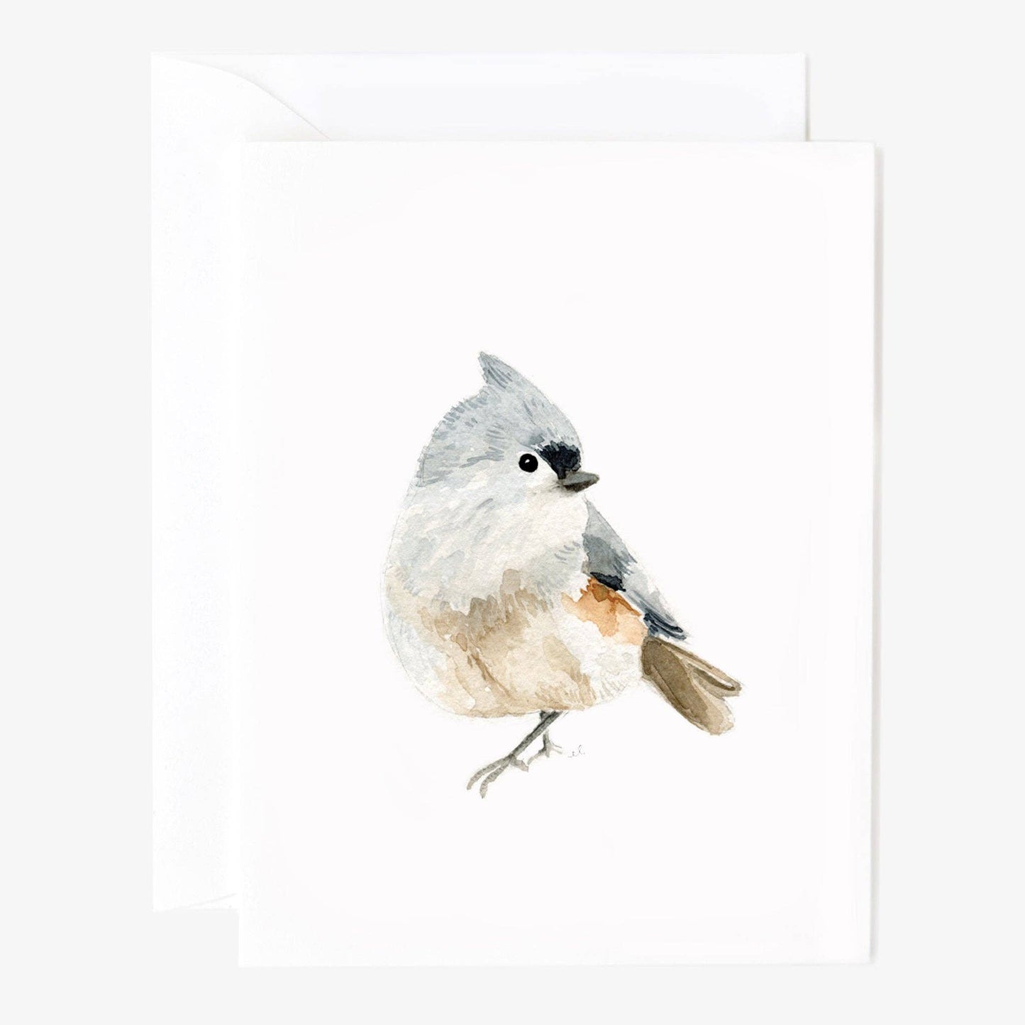 GB Birds Assorted Notecard Set