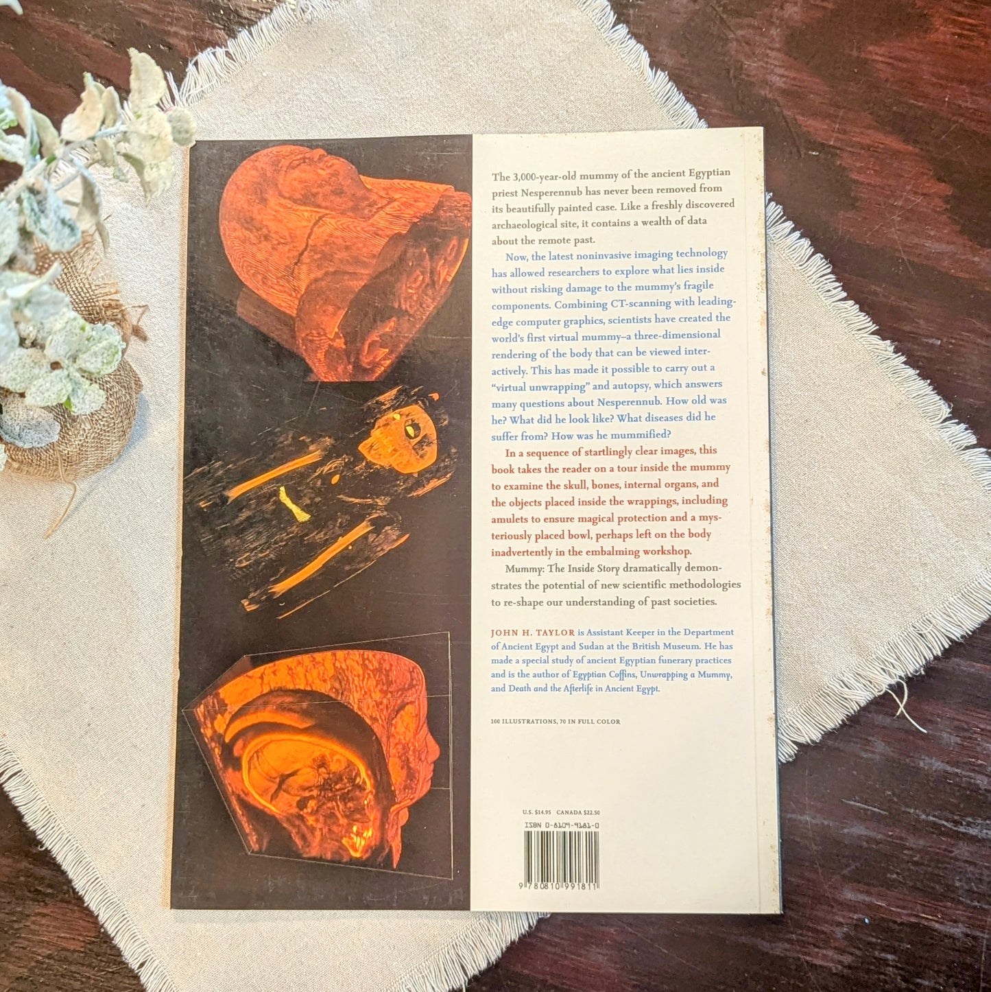 GB Mummy - The Inside Story