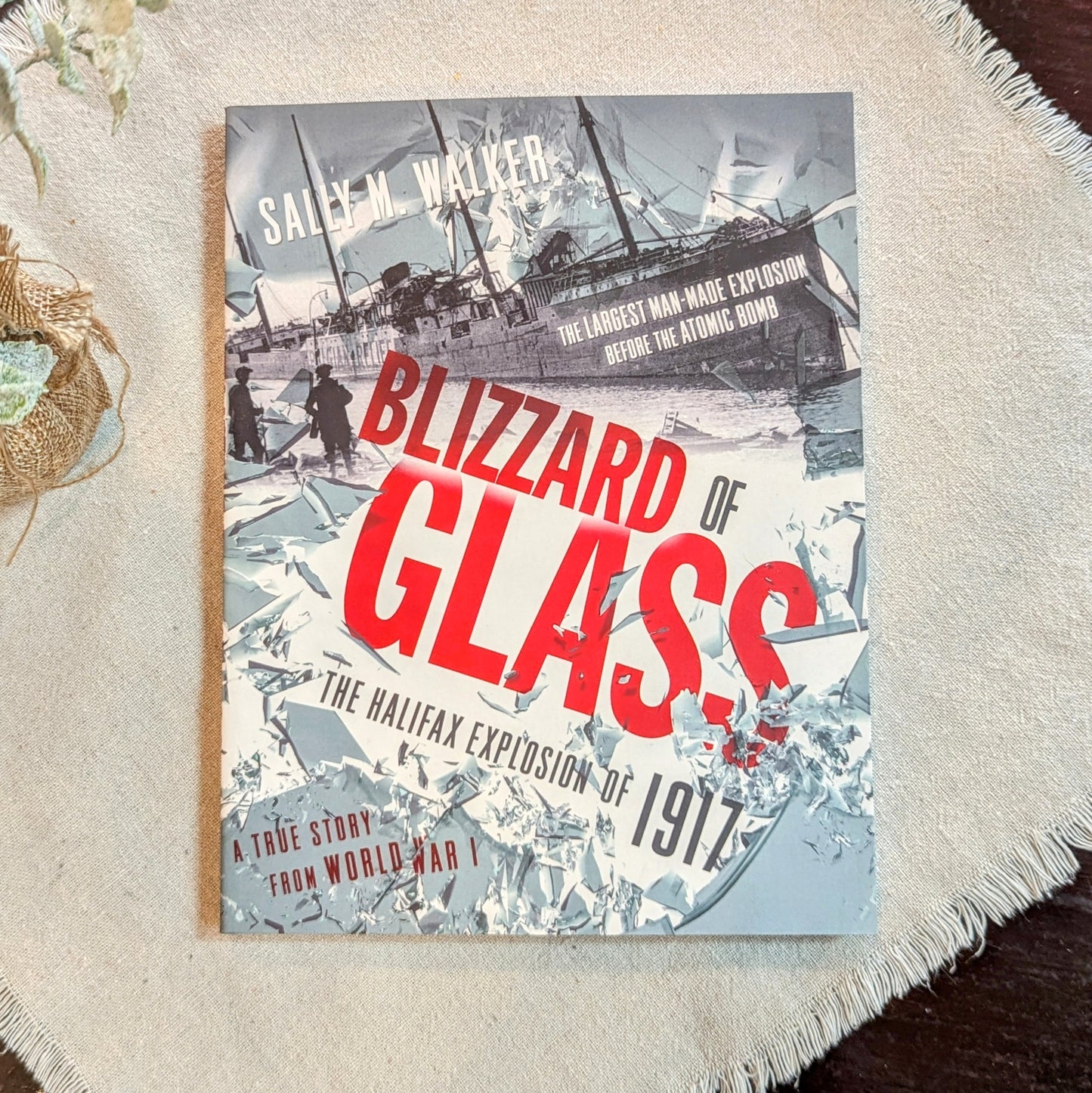 GB Blizzard of Glass - The Halifax Explosion of 1917