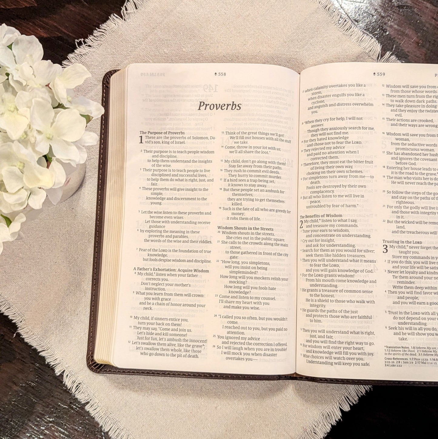 NLT Thin Reference Bible