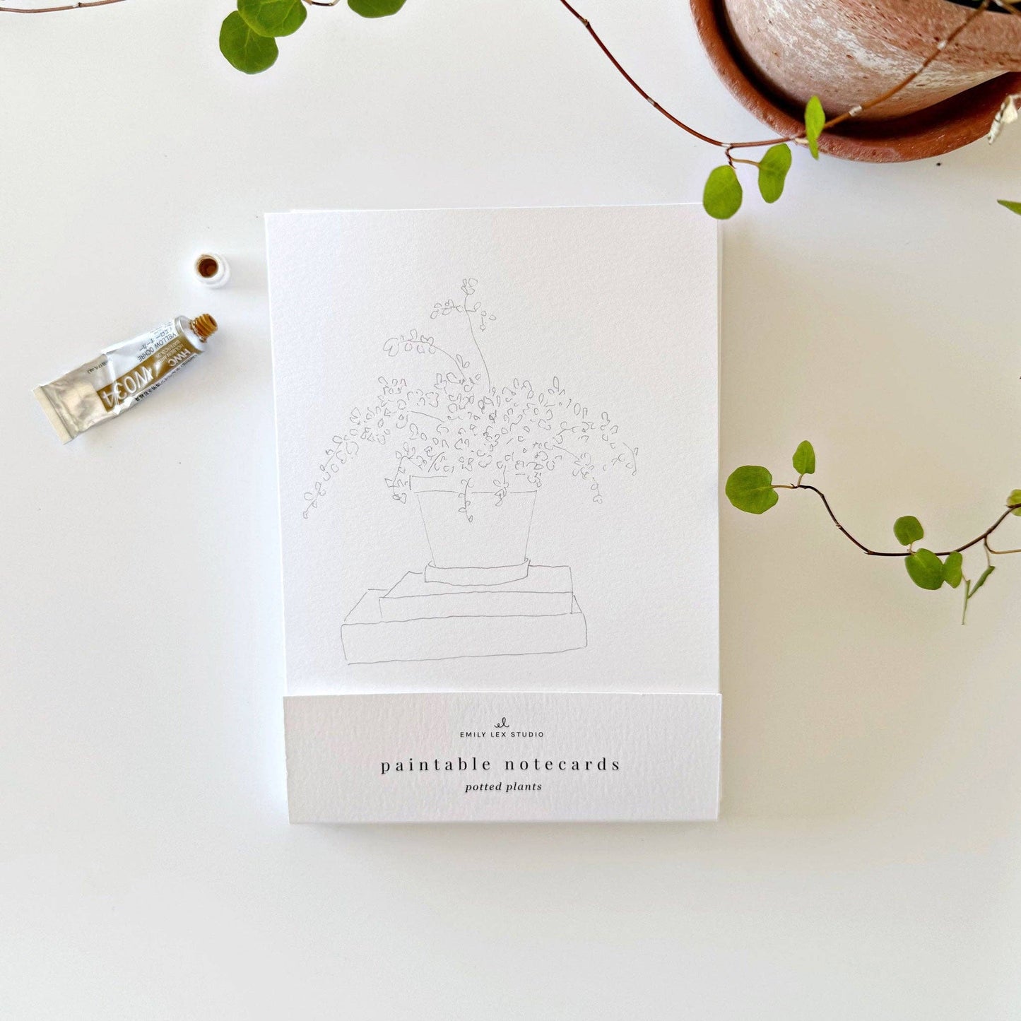 GB Potted Plants Paintable Notecards