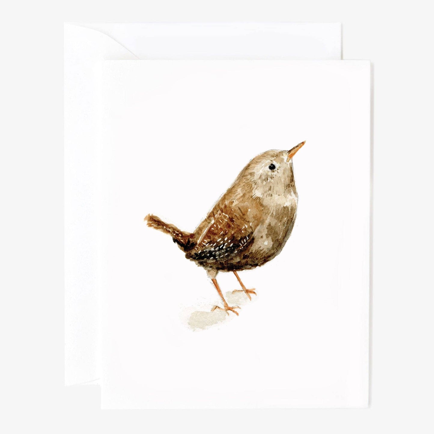 GB Birds Assorted Notecard Set