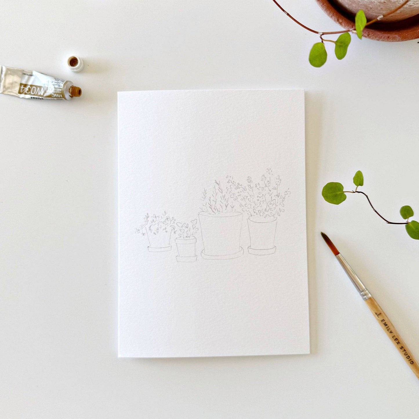 GB Potted Plants Paintable Notecards