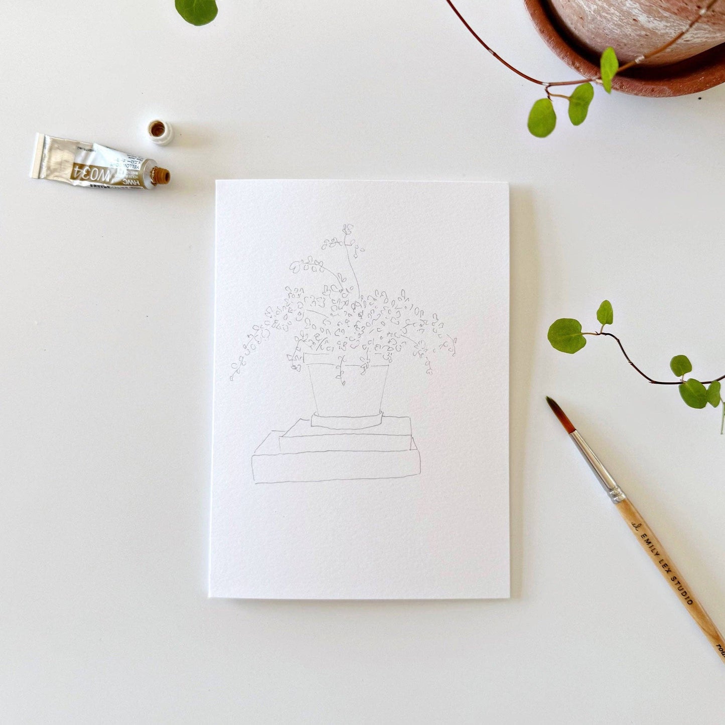 GB Potted Plants Paintable Notecards