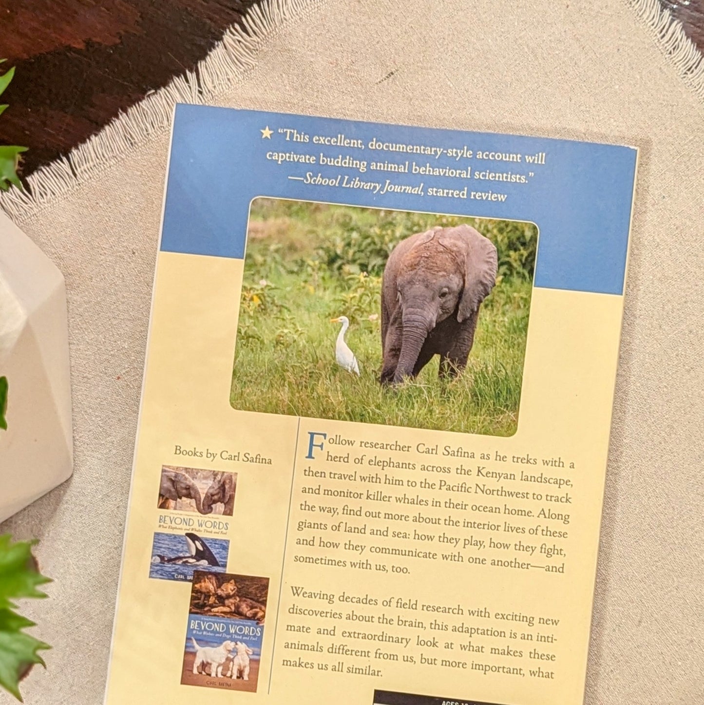 GB Beyond Words - What Elephants and Whales Think and Feel