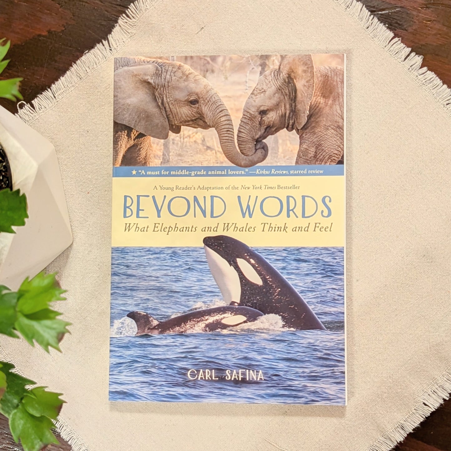 GB Beyond Words - What Elephants and Whales Think and Feel