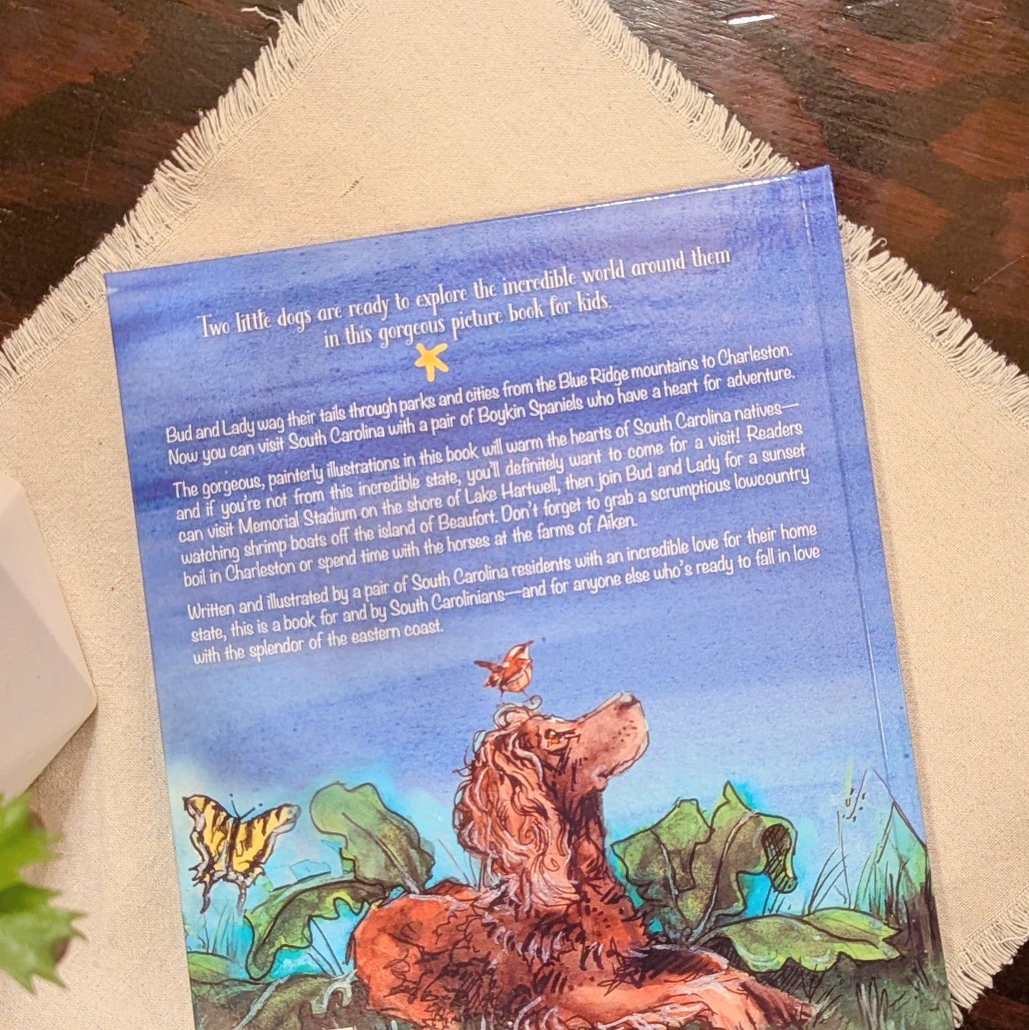 The Adventures of Two Brown Dogs: The Lovely State of South Carolina