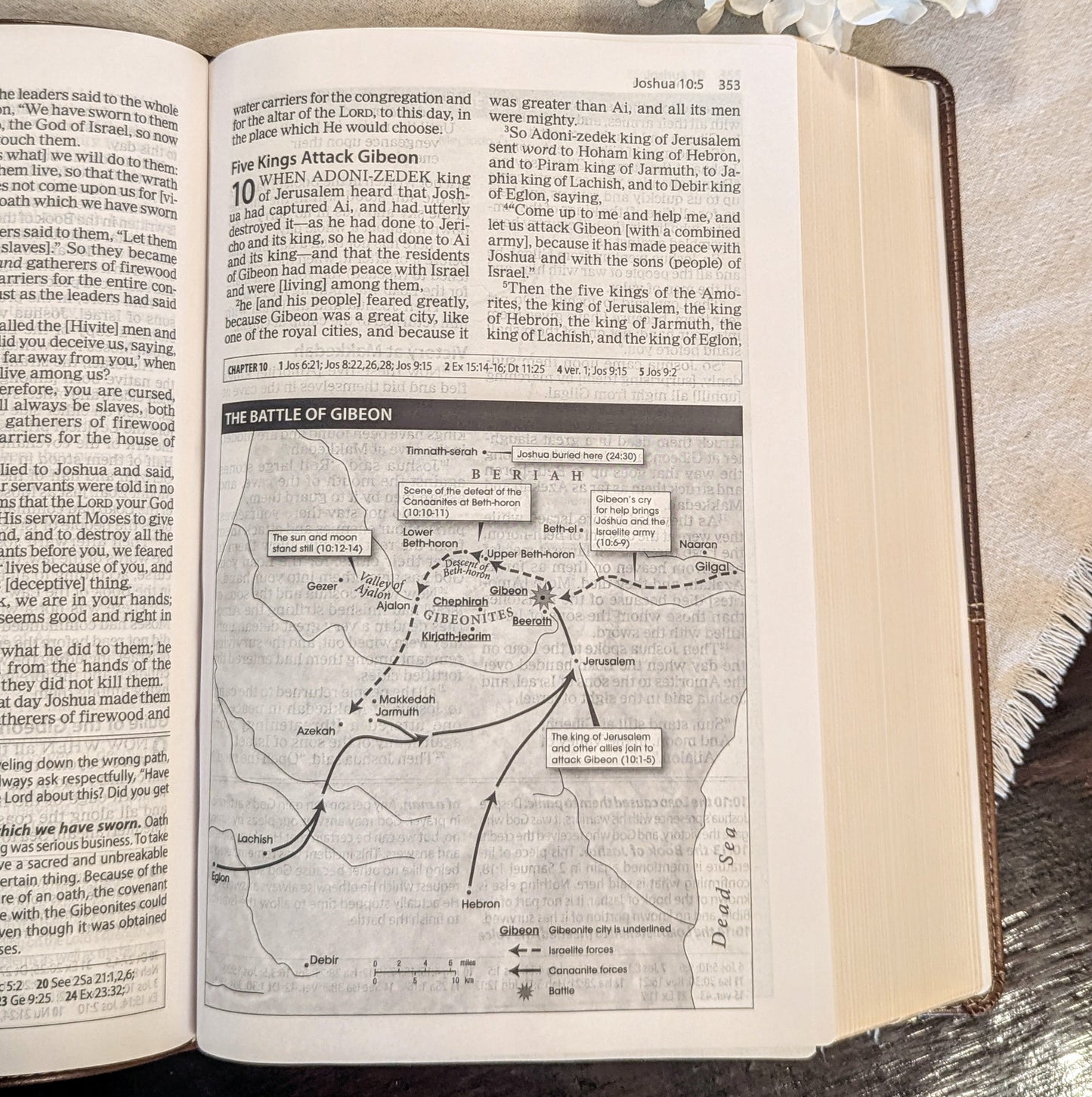 Amplified Study Bible Large Print Leathersoft