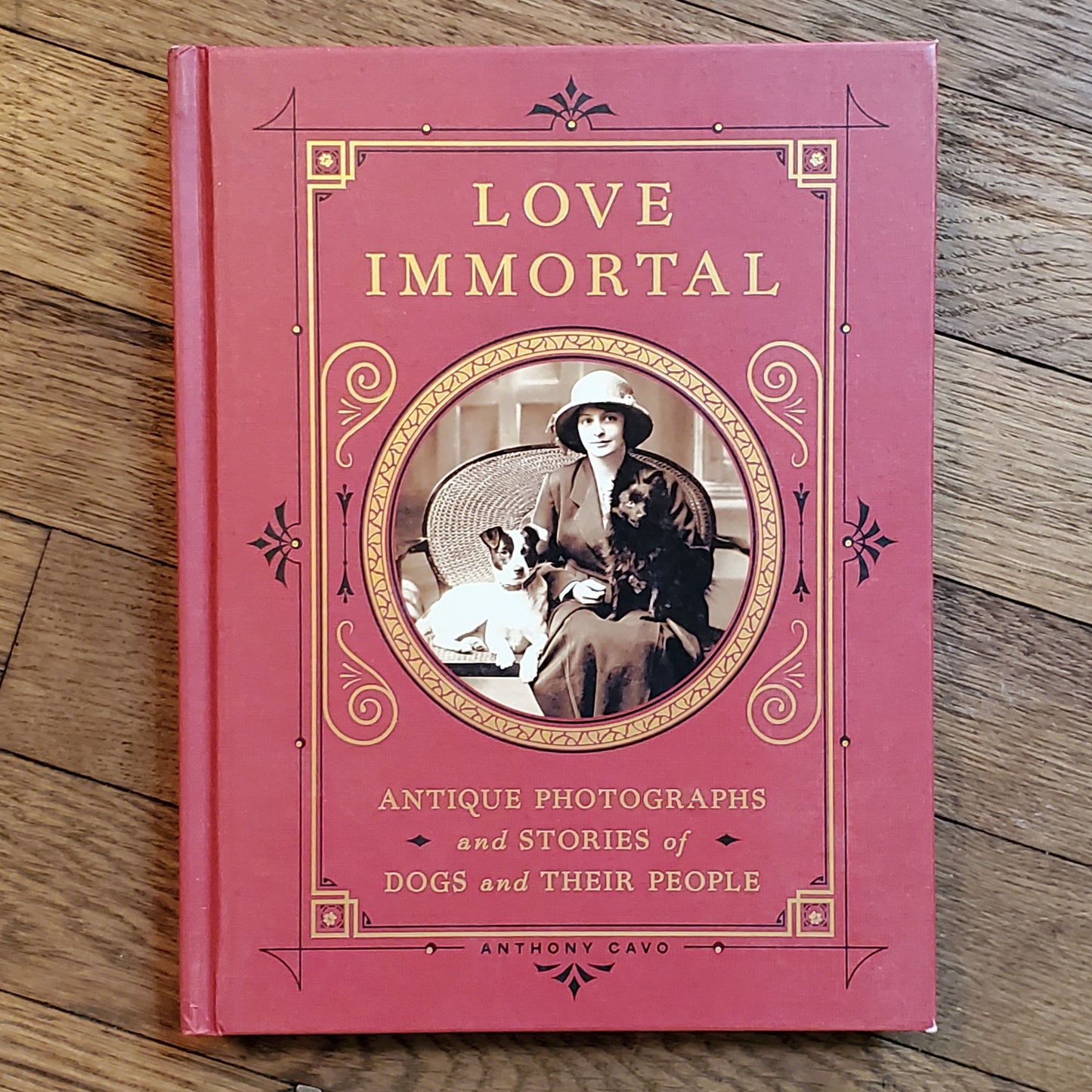 Love Immortal: Antique Photographs and Stories of Dogs and Their People