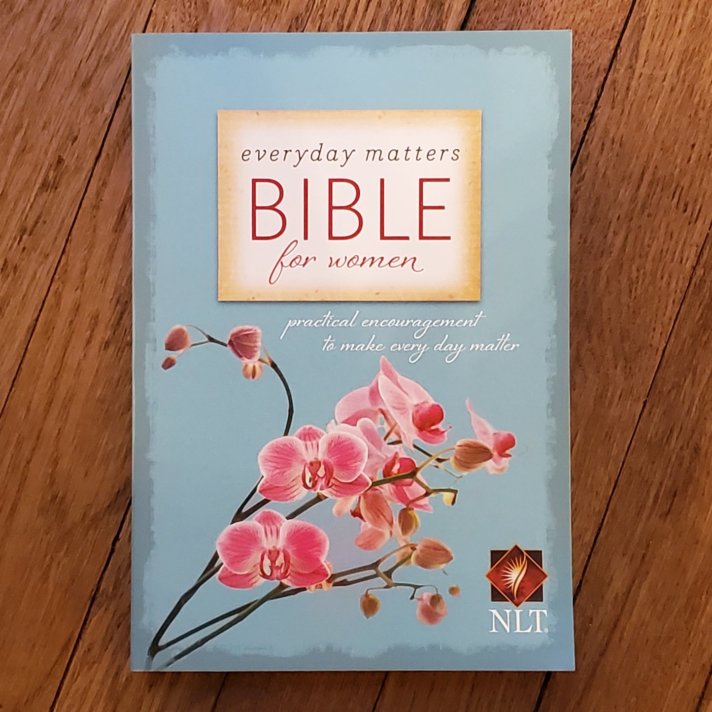 Everyday Matters Bible for Women