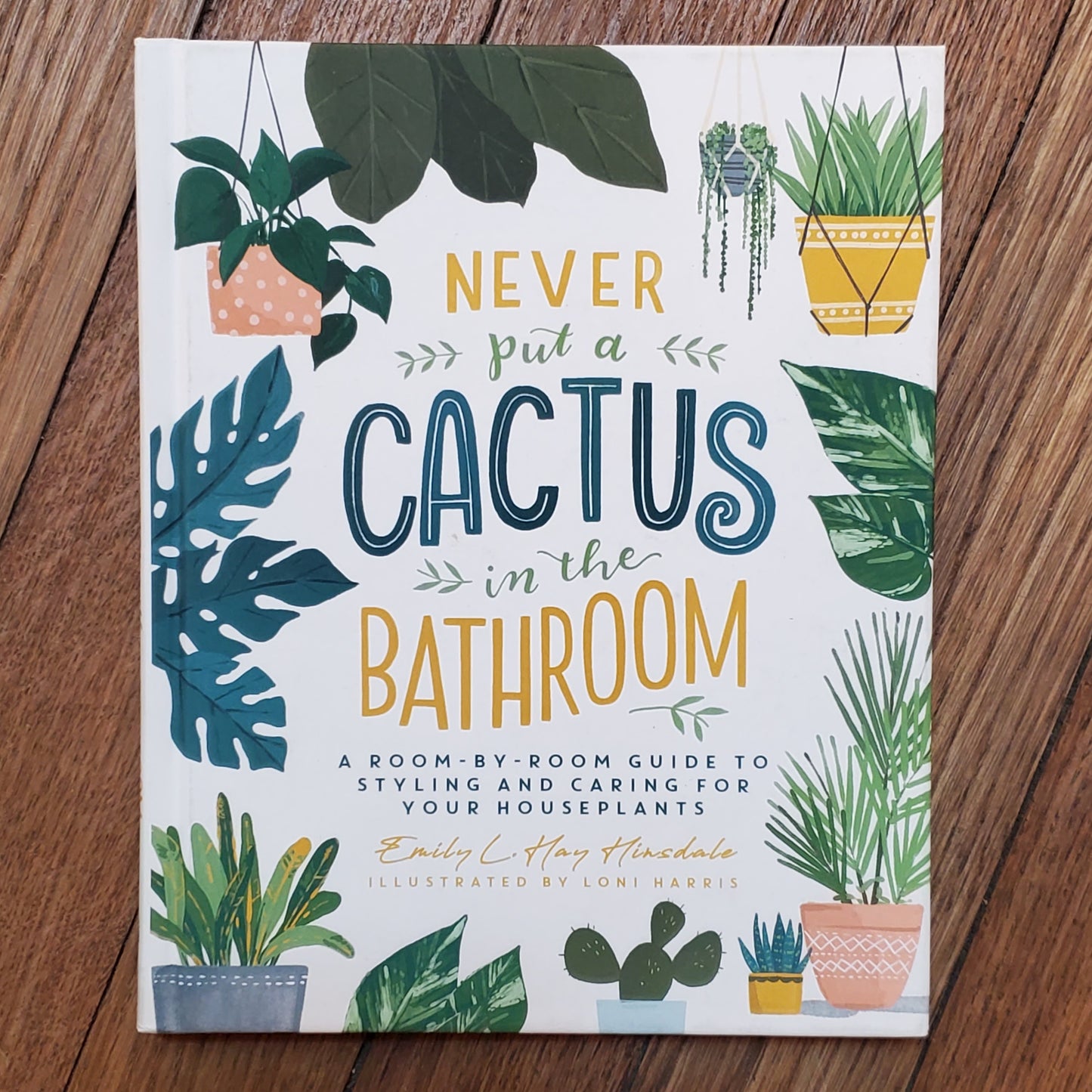 GB Never Put a Cactus on the Bathroom: A Room-by-Room Guide to Styling and Caring for Your Houseplants
