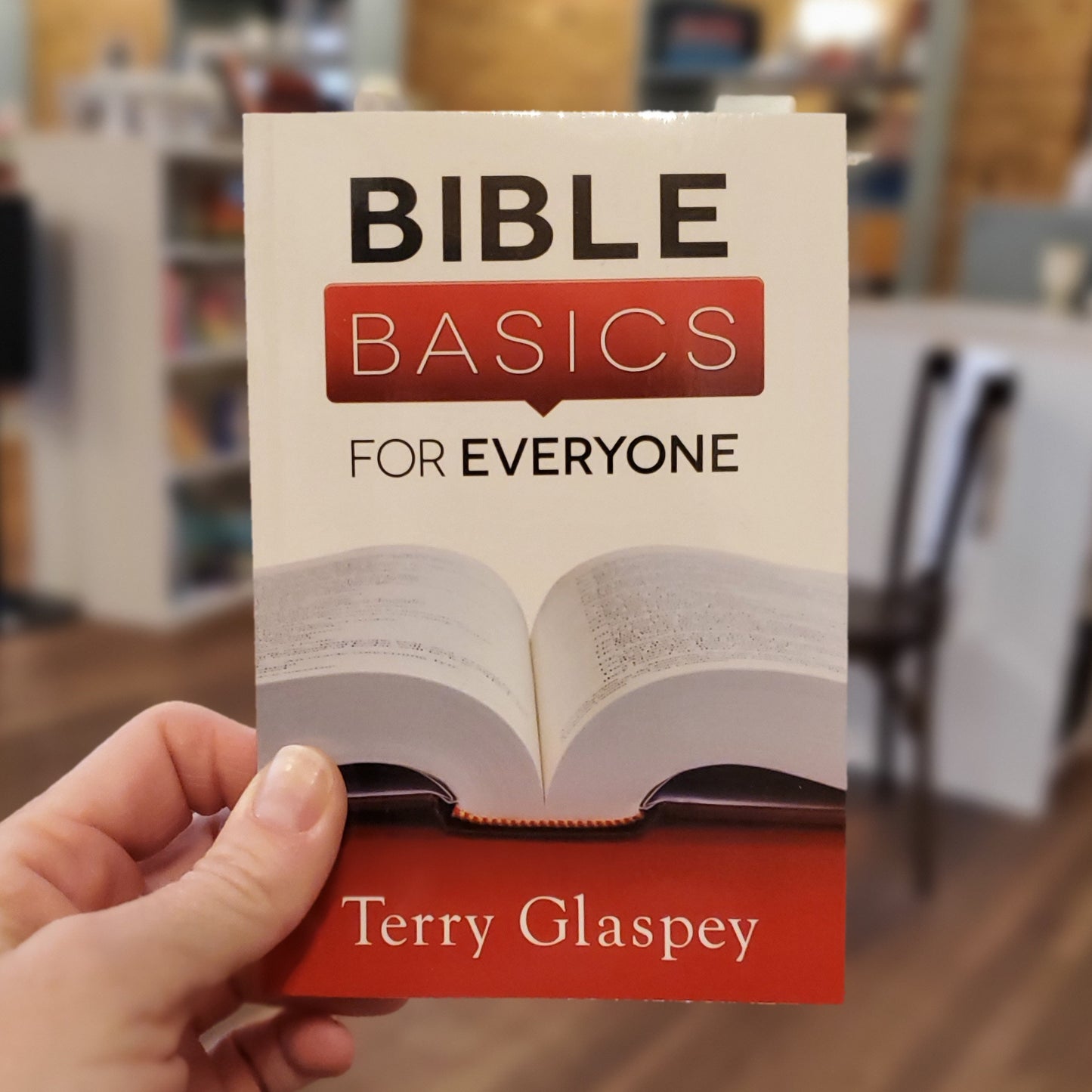 Bible Basics for Everyone