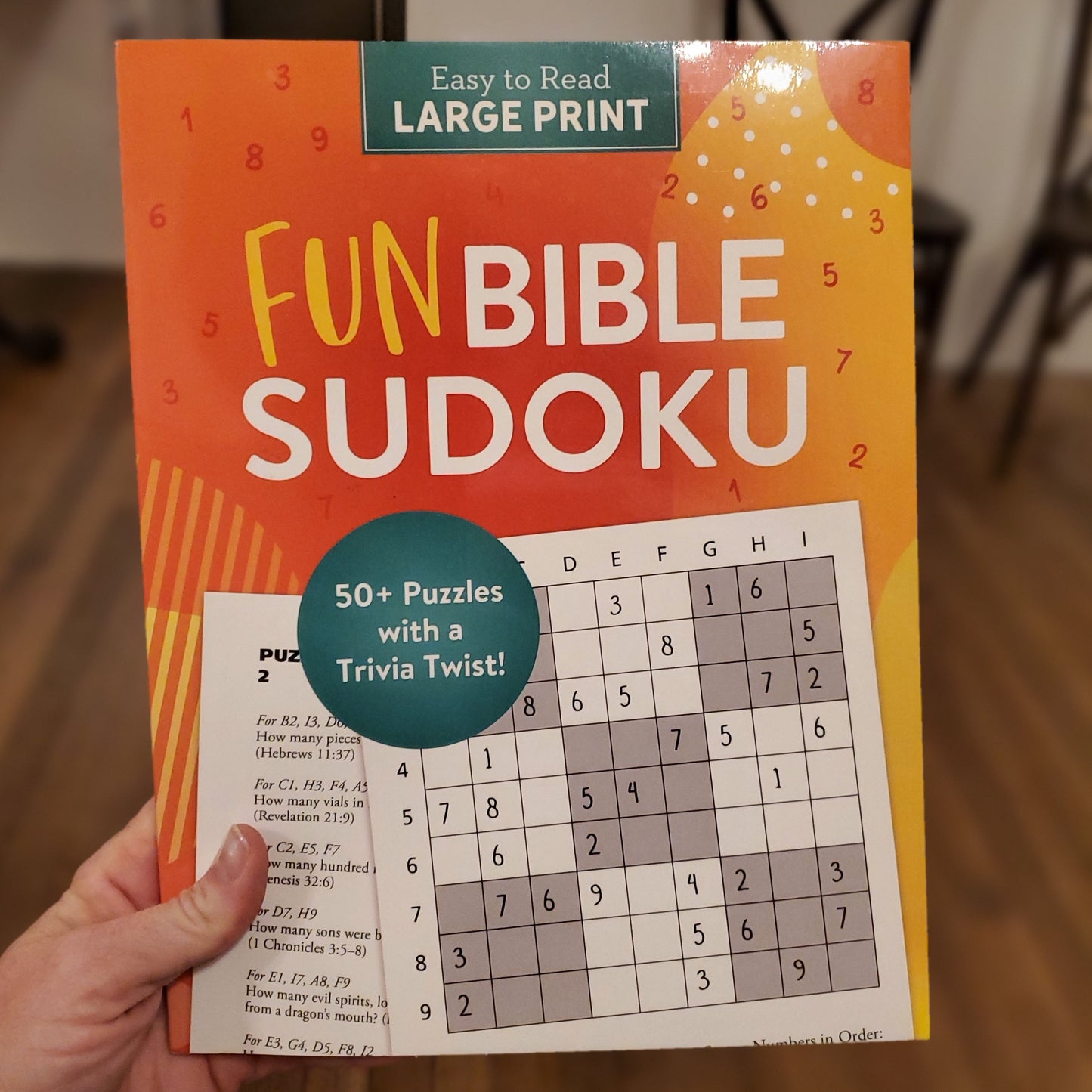 GB Fun Bible Sudoku (large print)