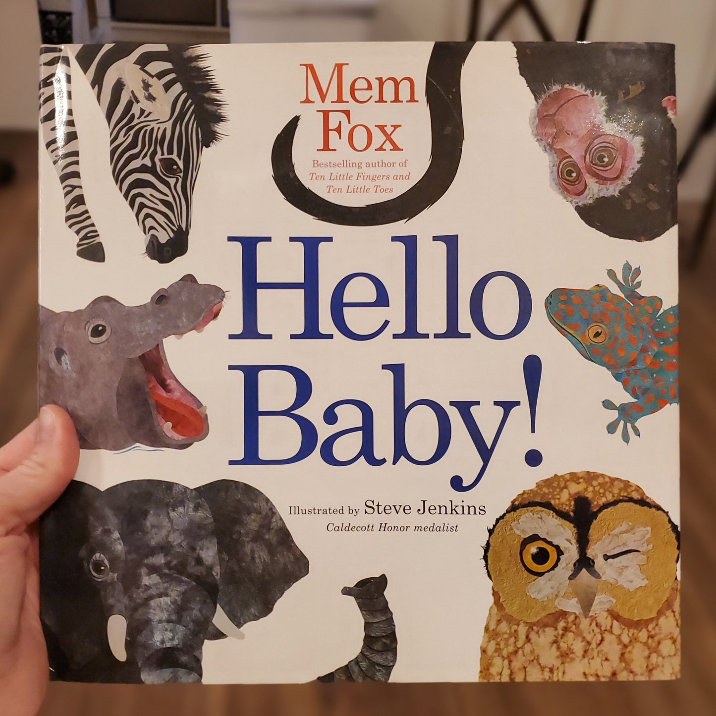 GB Hello Baby! (by Mem Fox)