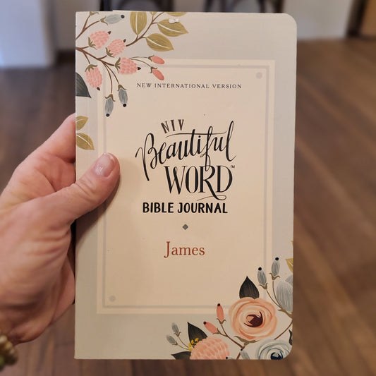 GB NIV Beautiful Word Bible Journal (James)