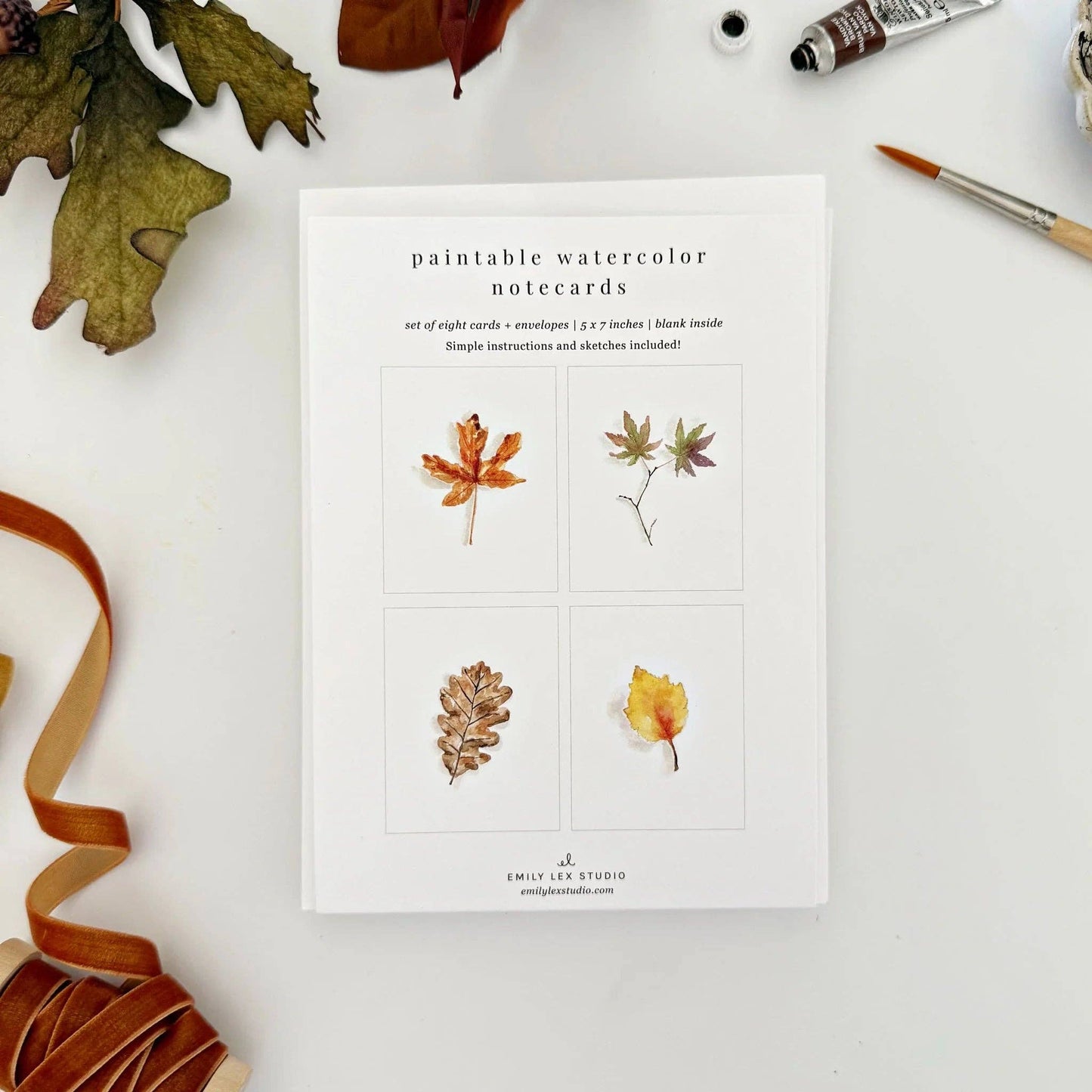 Fall Leaves Paintable Watercolor Notecard Set