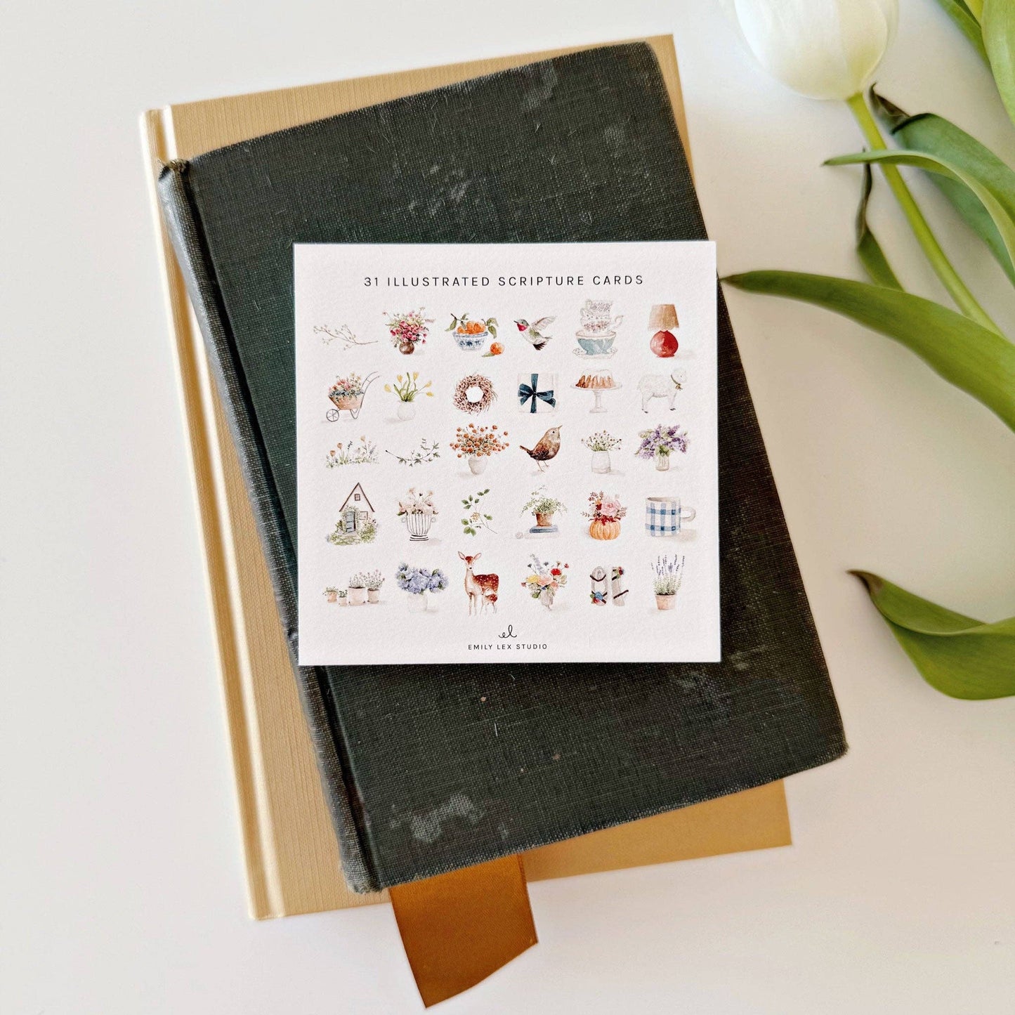 GB Truth for Today Psalms Cards