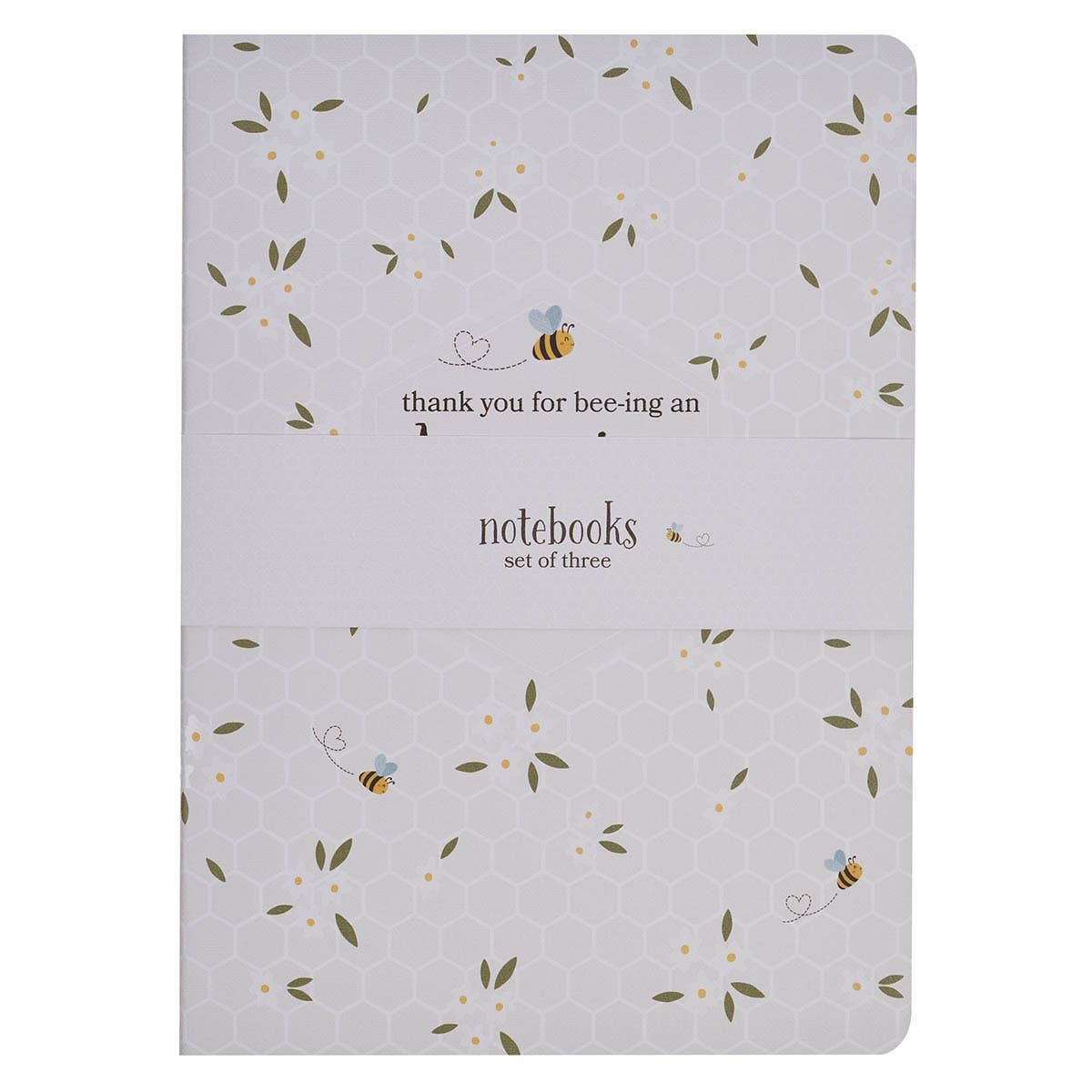 Notebook Set 3pc Amazing Teacher
