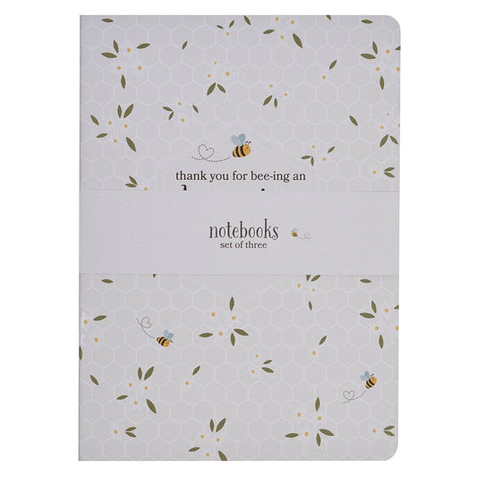 Notebook Set 3pc Amazing Teacher