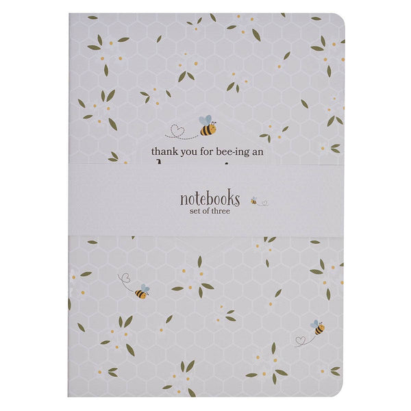Notebook Set 3pc Amazing Teacher – colletoncoffee