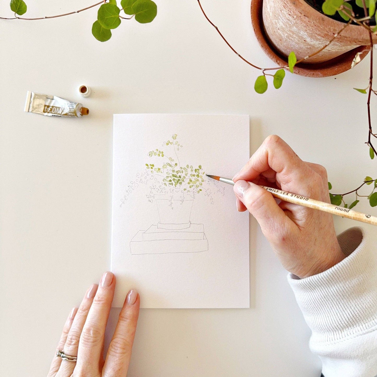 GB Potted Plants Paintable Notecards