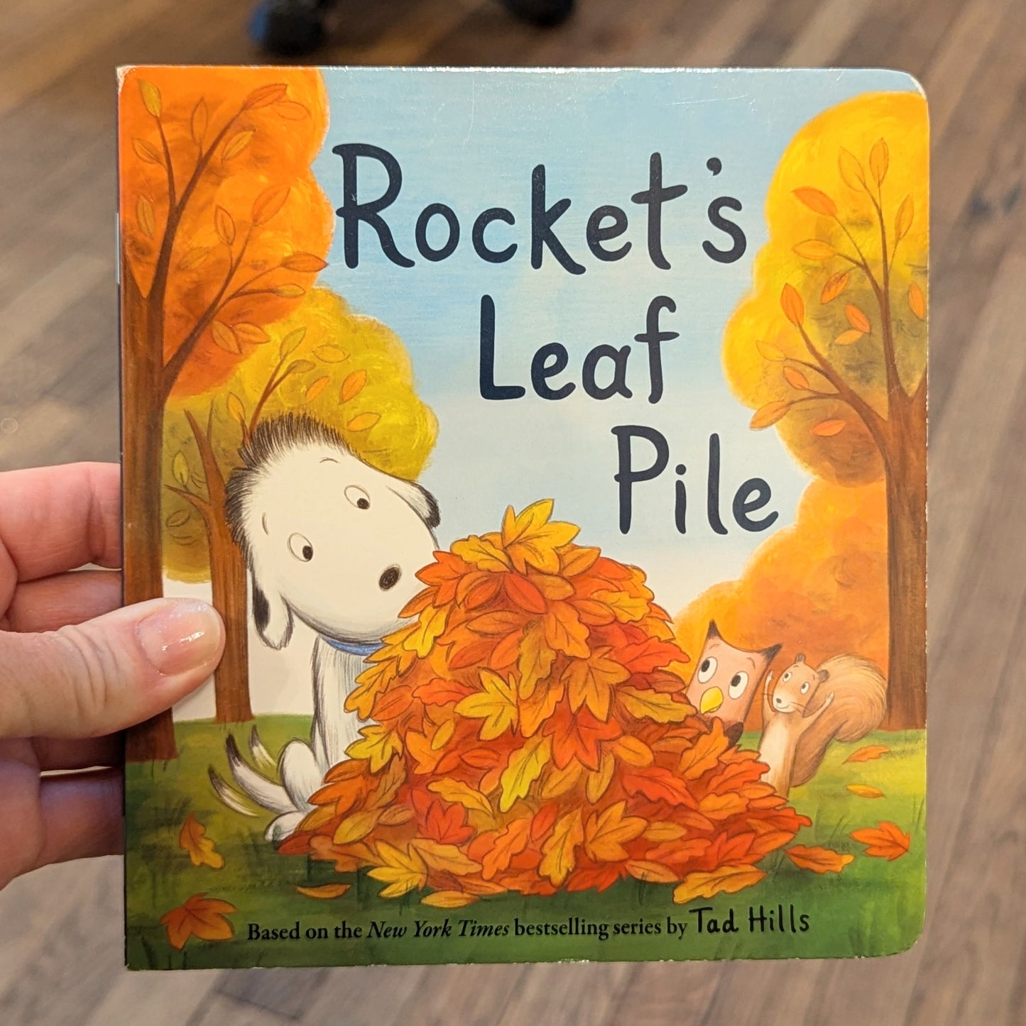 GB Board Book - Rocket's Leaf Pile