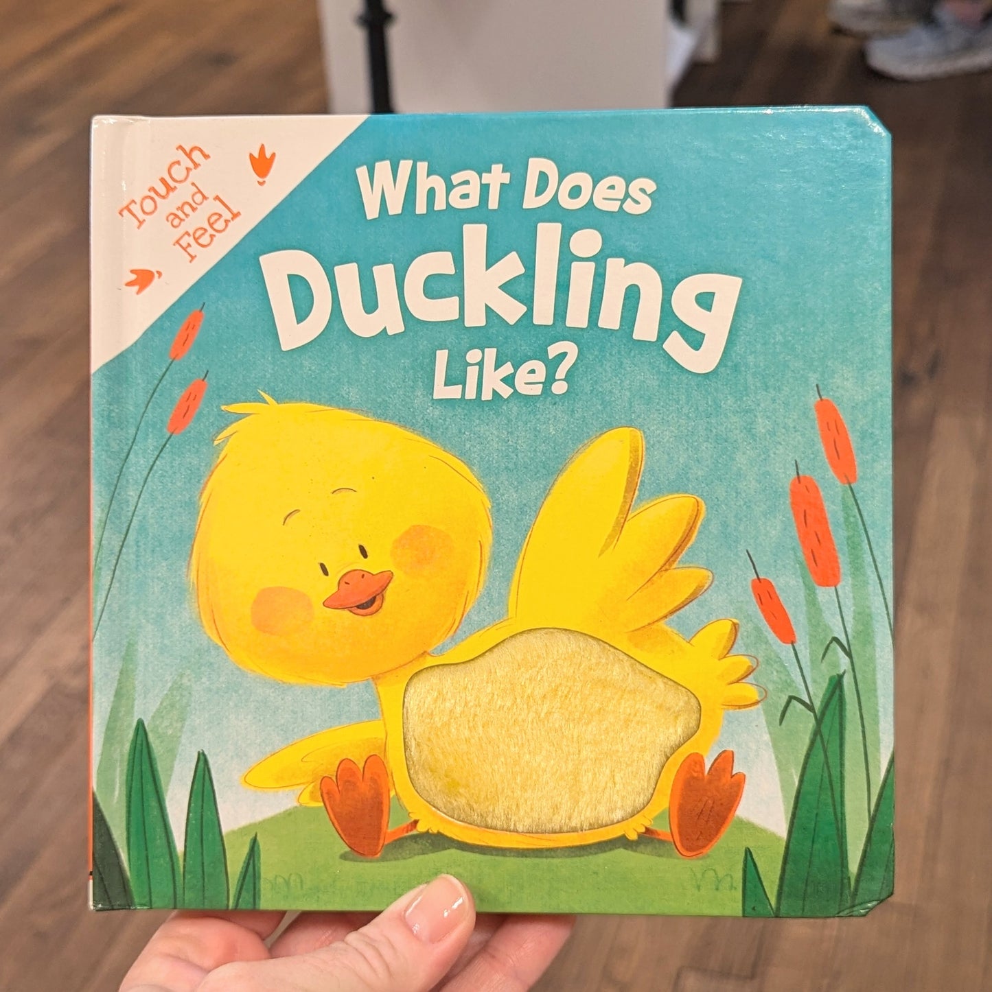 GB Board Book - What Does Duckling Like?