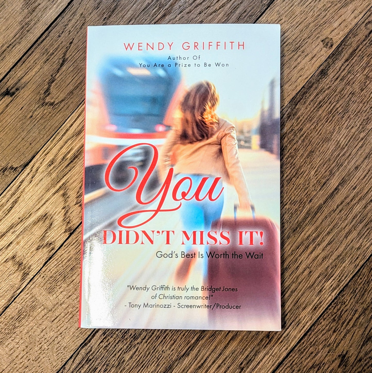 You Didn't Miss It! by Wendy Griffith