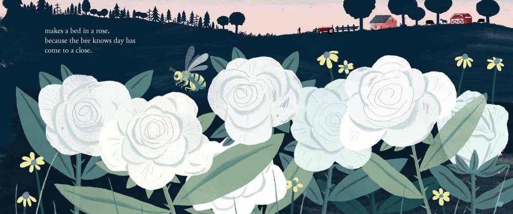 Go to Sleep, Little Farm padded board book: Mary Lyn Ray