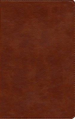 NLT Giant-Print Personal-Size Bible