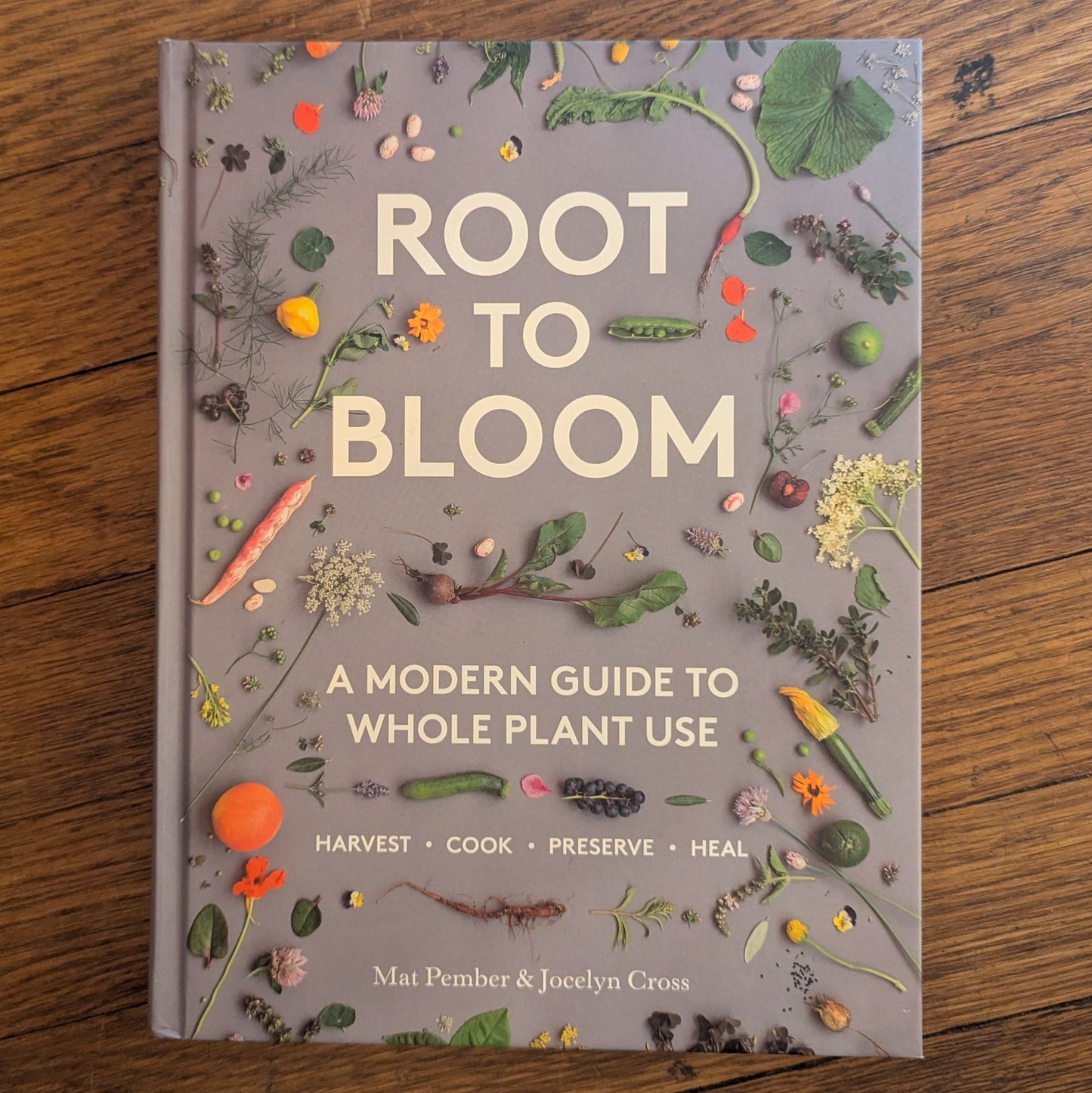 Root to Bloom