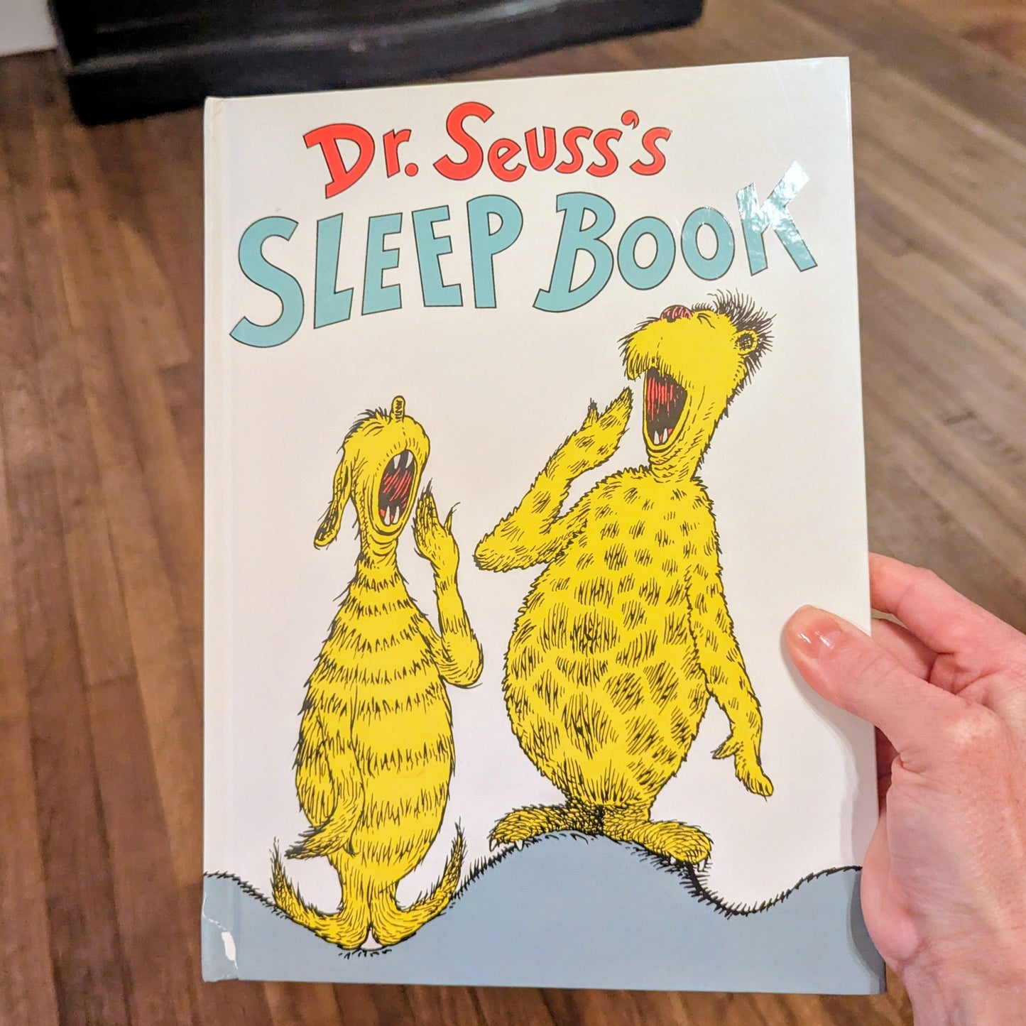 Dr Suess's Sleep Book